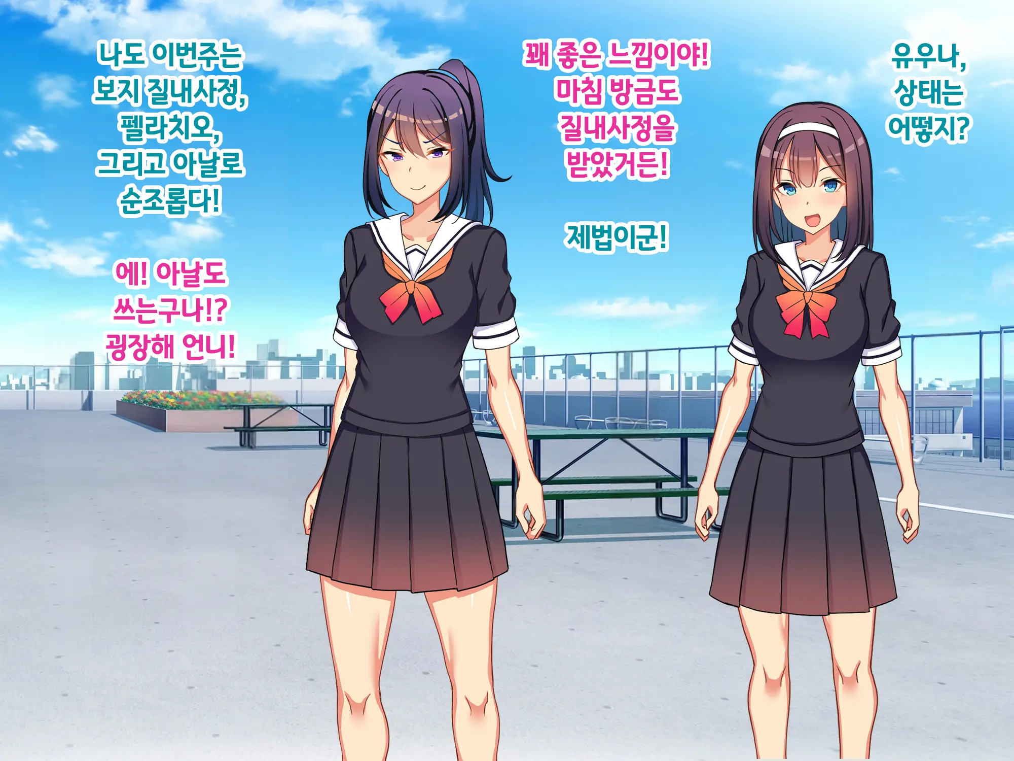 Sou Seisen Hime Holy Knights, Sennou Kaizou Songen Hakai, Seigi No Henshin Hiroin Ga Ganimata Pose De Machi O Osou Hentai Buzama Kaijin Ni Naru Made